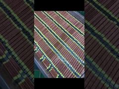 OEM Hochintensitäts-UV-Heilungsanzeige 20000 Stunden Lebensdauer für Inkjet-Drucker