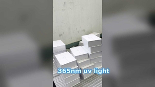 365 nm UV-Licht